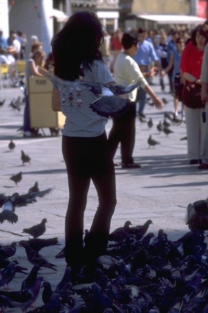 Mujer andando entre palomas en una plaza